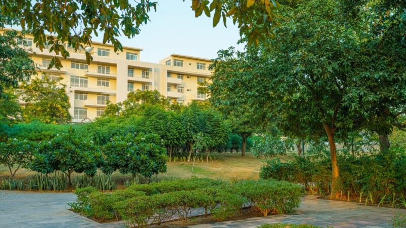 The Park Apartments